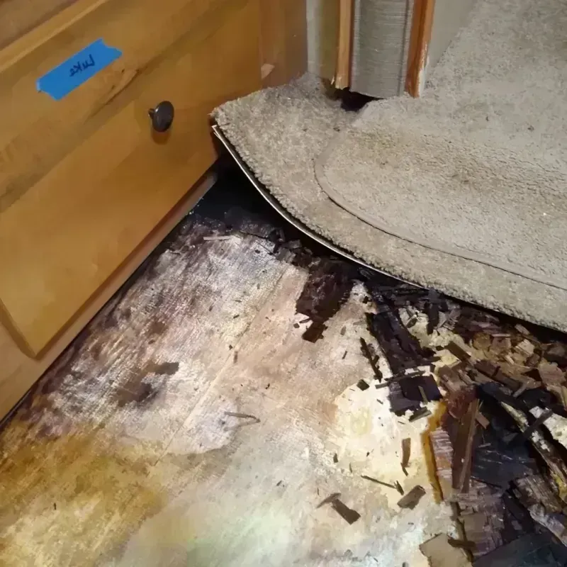 Best Wood Floor Water Damage Service in Vinton County, OH